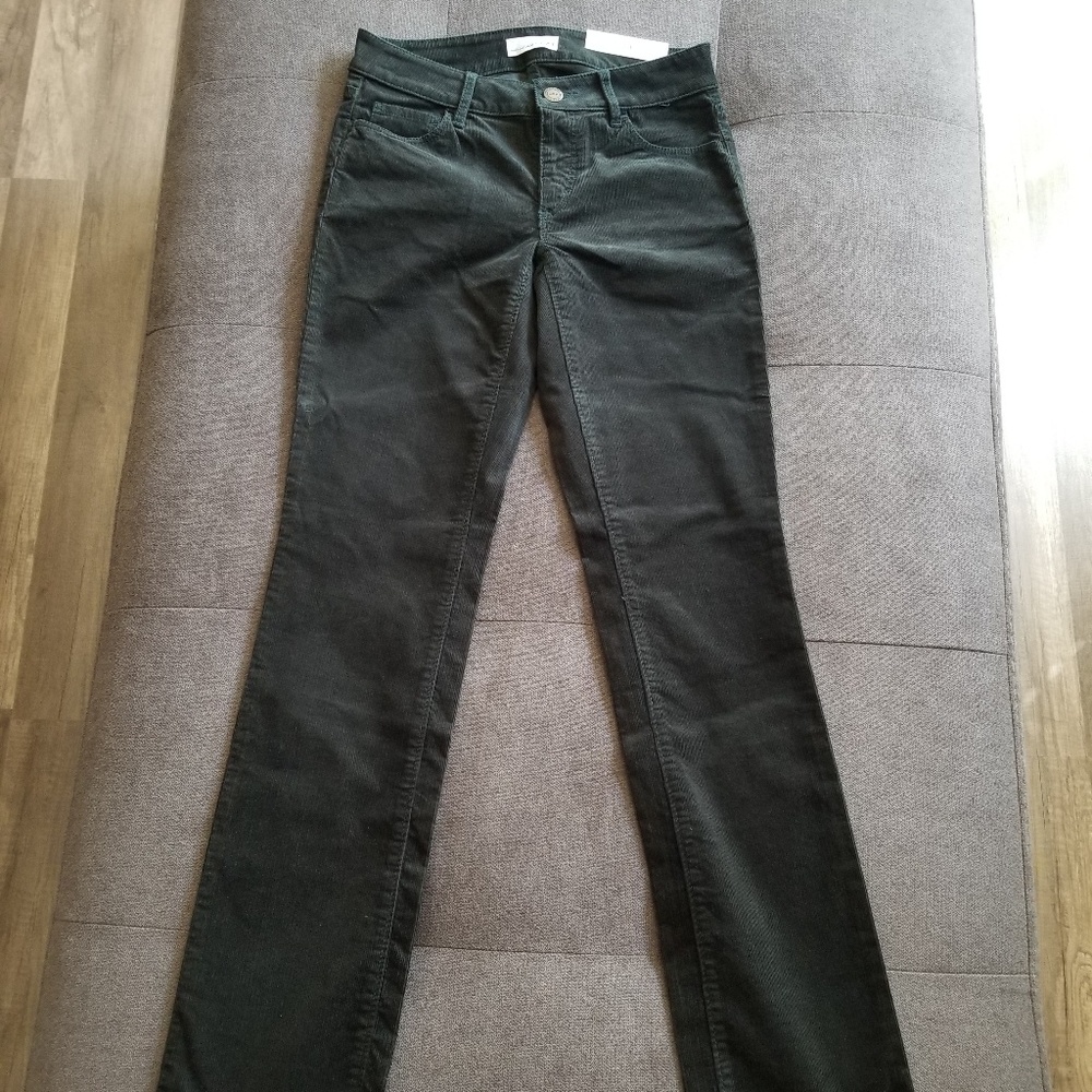 Ann Taylo LOFT courderoy petite modern cut pants